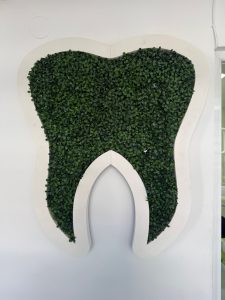 WhatsApp Image 2026-02-24 at 11.08.44 (5)